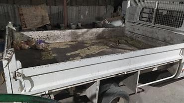 грузовое авто продажа: Грузовик — 2