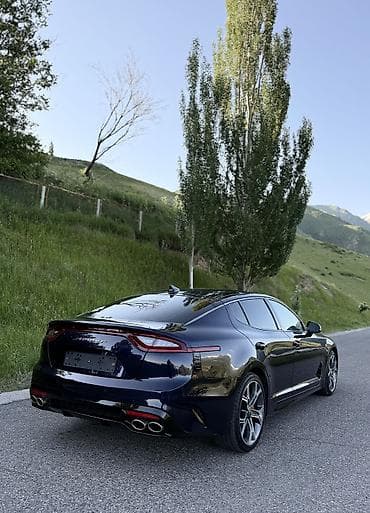m111 2 2: Kia Stinger: 2019 г., 2 л, Автомат, Бензин, Седан — 4