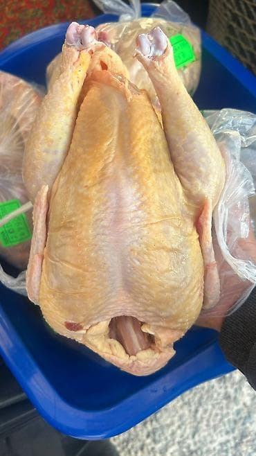 кыргыз кийими: Продаю чистые тушки бройлеров домашнего качества. Выращивание бройлер — 1