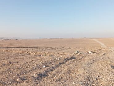 дома на обмен: 225 соток, Для бизнеса, Договор купли-продажи — 15