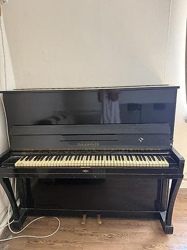 Пианино «Беларусь» (вертикальное) - Тип: акустическое пианино