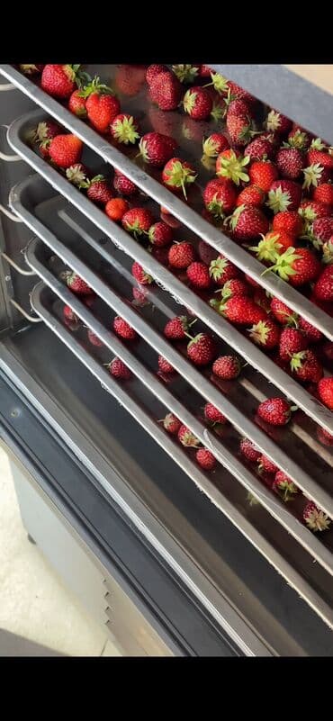 шоковая заморозка оборудование: Камера шоковой заморозки Камера шоковой заморозки на 6 уровней — 4