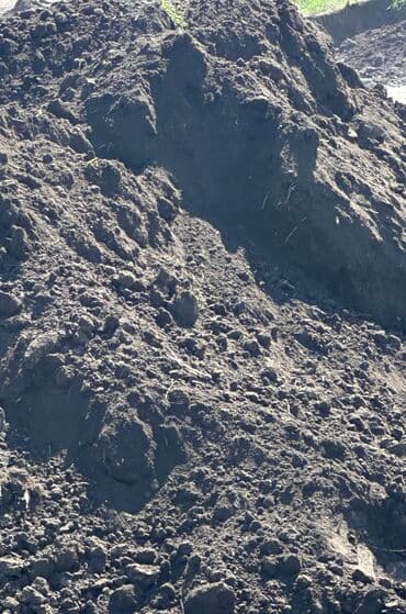 чернозем горный: В тоннах, Бесплатная доставка, Платная доставка, Зил — 2