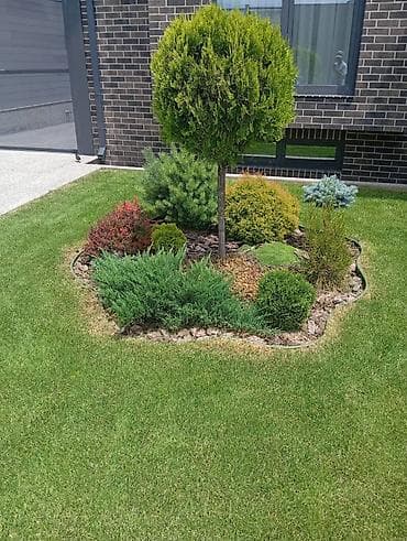 укладка асфальт: Услуги ландшафтного озеленения - Устройство газона «под ключ» — 3