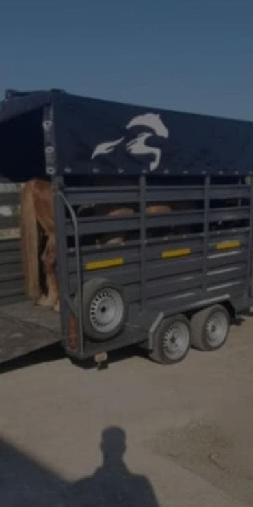 Прицеп, до 3,5 т, Новый