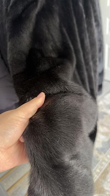 шапка норковая женская: Шуба из натурального меха норки YAFEIER На размер 44-48 - Классическая — 7