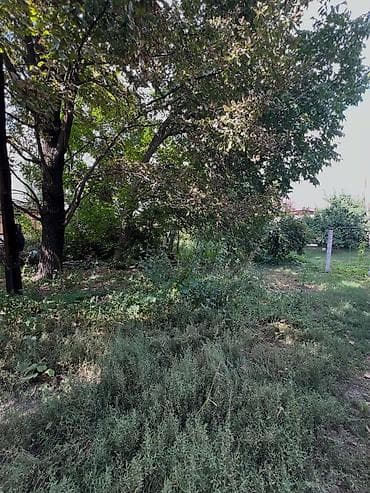 12 соток, Для сельского хозяйства — 5