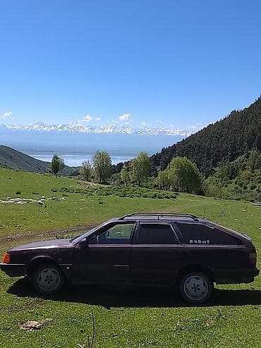 crown 171: Audi 100: 1991 г., Механика, Универсал — 3