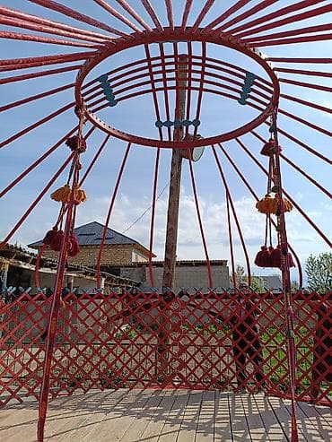 Юрта кыргыз Боз уй сатылат 6 канат 85 баш абалы жакшы баасы 250 000мин — 8