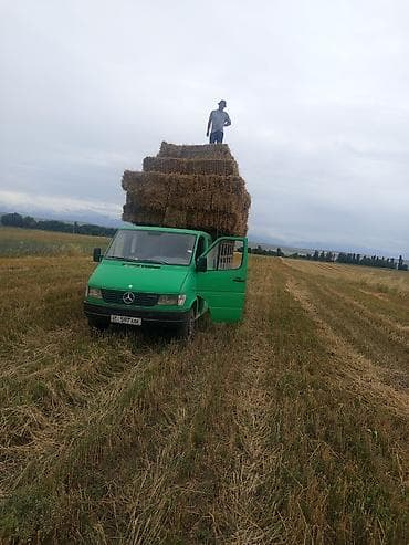 Грузовик, Mercedes-Benz, Дубль, 3 т, Б/у at lalafo.kg Грузовик, Mercedes-Benz, Дубль, 3 т, Б/у