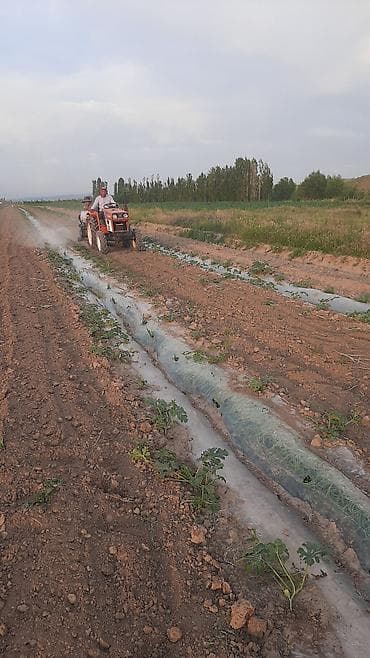 civic 2007: Компактный трактор Hinomoto E224 - Японский малогабаритный трактор — 4