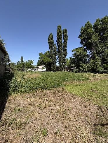 royal yard: 📍 В Сокулуке от трассы 600 м. продается дом на участке 12 соток, 89 — 8