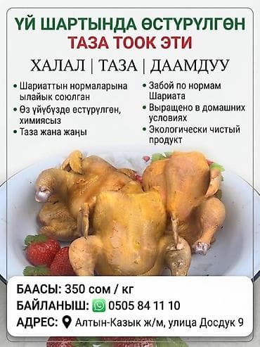Халал куриное мясо, выращенное в домашних условиях без химии — 1