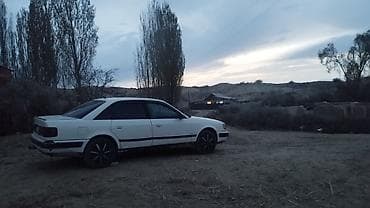 Audi: Audi 100: 1991 г., 2.3 л, Кол менен иштөөчү, Бензин, Седан — 2