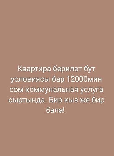 квартира 11000: 1 комната — 1