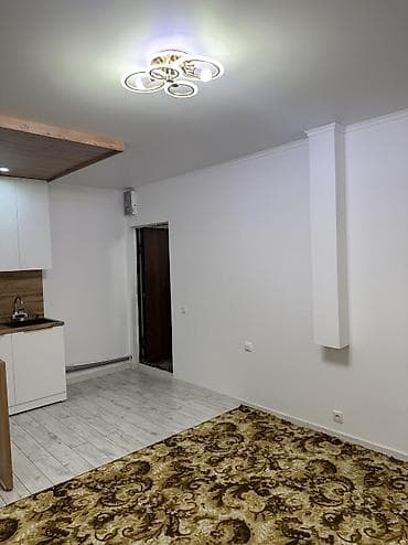 гарнет: 1 комната, 18 м², Элитка, Цокольный этаж этаж, Косметический ремонт — 7