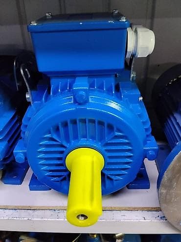 Электродвигатель асинхронный, 3 фазы, с защитным колпаком на валу -