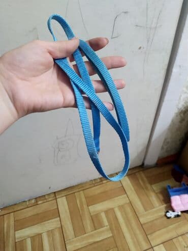 куплю собаку недорого: Продам два поводка все отлично работает цена за оба только писать на — 3