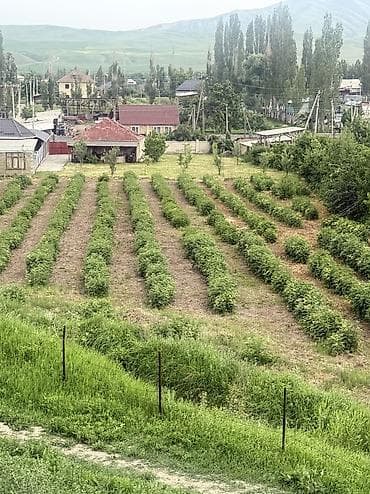 участок под кашар: 18 соток, Для строительства, Красная книга, Тех паспорт — 1