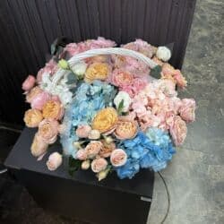 продаю или меняю на: Только что получили, цена договорная — 2