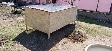 курица для шаурмы: Передвижной уличный мини-курятник/вольер для птицы. Характеристики: - — 5