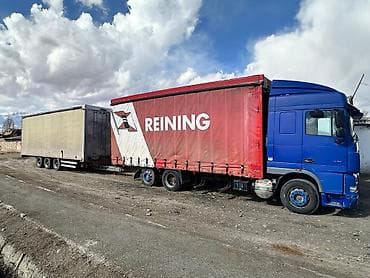 Тягач, DAF, 2008 г., Шторный