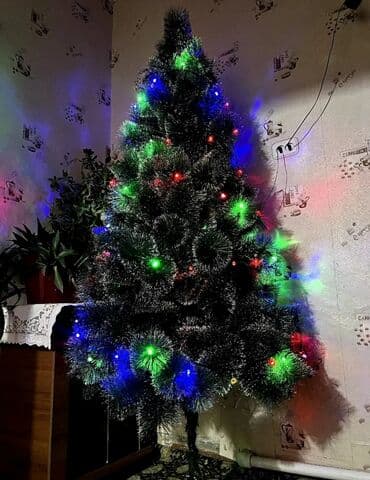 новогодние елки купить в бишкеке: Как новая.
Высота 1.8м.
Находится в Сокулуке
без торга — 1