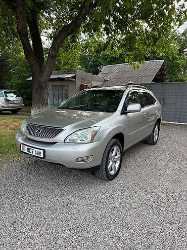 рх 350 2010: Lexus RX: 2004 г., 3.3 л, Автомат, Газ, Универсал — 3