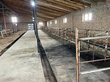 под кошару: Кошара, 20 соток, Действующий, Без оборудования, Отопление, Канализация, Горячая вода — 5