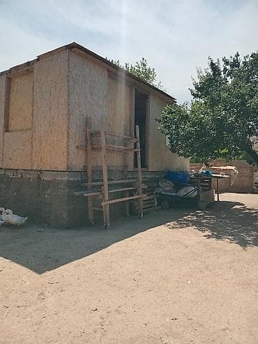 дом в аренду: Дача Кунтуу ул .Мечта1 дом 103 Помещение (времянка/бытовка) из — 8