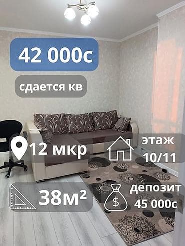 Студия, Риэлтор, Без подселения, С мебелью полностью