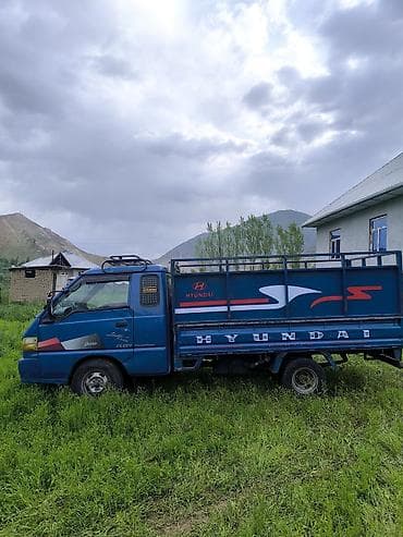 мата секыл: Жеңил жүк ташуучу унаа, Hyundai — 3