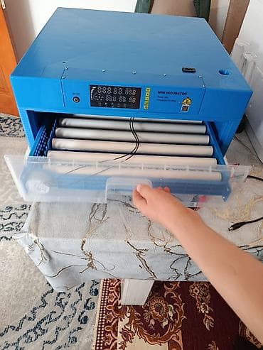 нужен кафельщик: Инкубатор для яиц «Mini Incubator» - Электронное управление с цветным — 3