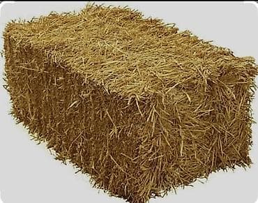 Тюки соломы (прямоугольные) - Прессованные тюки из сухой соломы