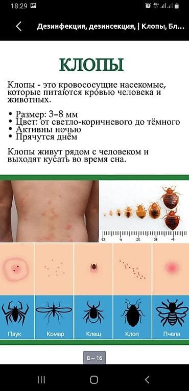 бассейн с шарами: Токмок Токмок Токмок Кант БишкекПрофессиональная обработка от — 5