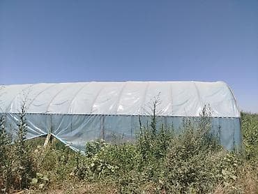 поля клубника: 1500 соток, Для сельского хозяйства, Договор купли-продажи — 4