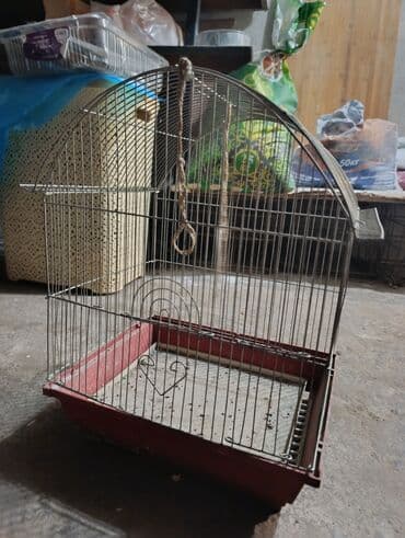 Клетка для попугаев