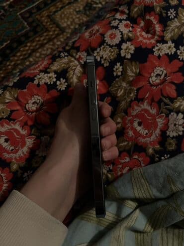 баа: IPhone 13 Pro, Колдонулган, 256 ГБ, Көгүлтүр, Коргоочу айнек, Каптама, 77 % — 3