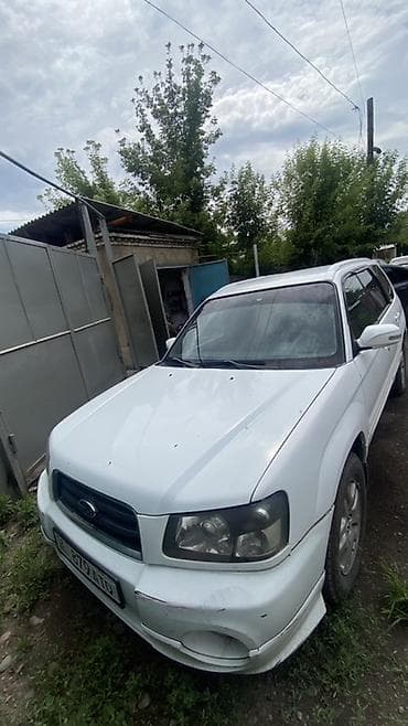 дверь форестер: Subaru Forester: 2004 г., 2 л, Автомат, Бензин, Универсал — 1