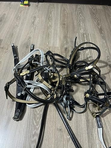 Аквариумы: Упряжь/амуниция для лошади (набор элементов) - Материал: кожа с — 1