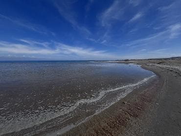 орошаемые земли: 10 соток, Для сельского хозяйства, Красная книга, Договор купли-продажи — 10