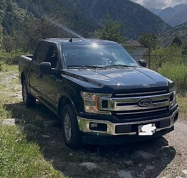 форт раптер: Ford F-150: 2019 г., Пикап — 1