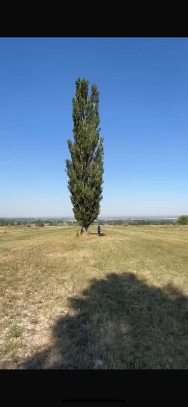 сниму дом на иссык куле: 120 соток, Для сельского хозяйства, Договор долевого участия, Договор купли-продажи — 1