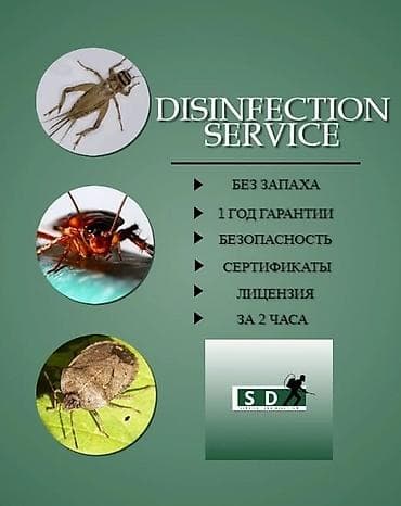 Клининг кызматтары: Дезинфекциялоо, дезинсекциялоо, | Канталалар, Бүргөлөр, Таракандар, | Транспорт, Офистер, Батирлер — 1