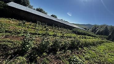 darek: 🏠Продается дом с участком • Баз для домашних животных (овец, коров и — 6