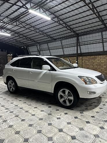 discovery 3: Lexus RX: 2004 г., 3.3 л, Автомат, Газ, Кроссовер — 7