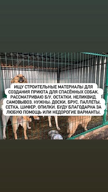 Ищу строительные материалы для создания приюта для спасённых собак