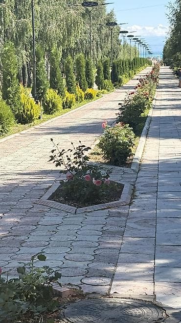 карвен: Аренда квартиры на Иссык-Куле, Asia Palace, Сары-Ой, 3 места, Цена Целиком за жилье — 7