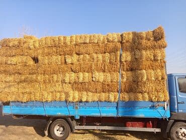 дом кролика: Ячменная солома тюки большие с доставкой - Тюки плотной прессовки — 2