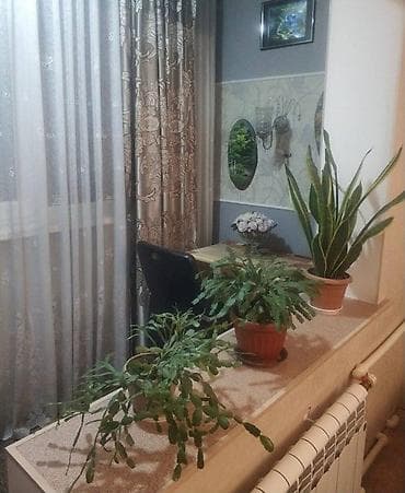 30: 1 комната, 46 м², Кок-Жар мкр Индивидуалка, 1 этаж, Евроремонт — 3